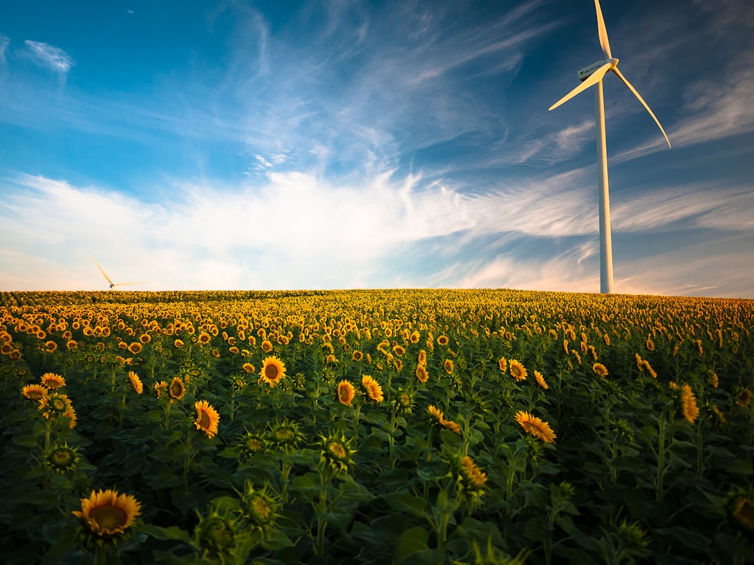 Photo Wind turbines